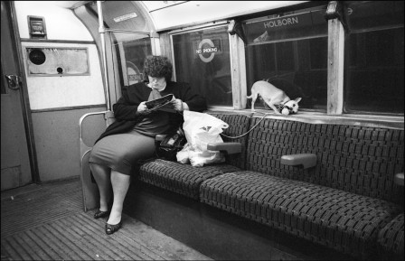 Paul_Baldesare_metro_londres_chien_au_travail.jpg