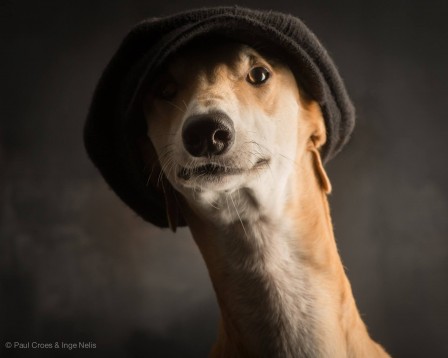 Paul_Croes_bonnet_casquette_chien.jpg