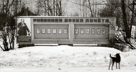 Pentti_Sammallahti_chien_politique_election_vote.jpg