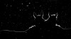 Petri_Volanen_chevaux_nuit.jpg
