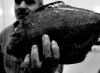 Peyman_Rabanne_poeme_pour_le_poisson_mort.jpg