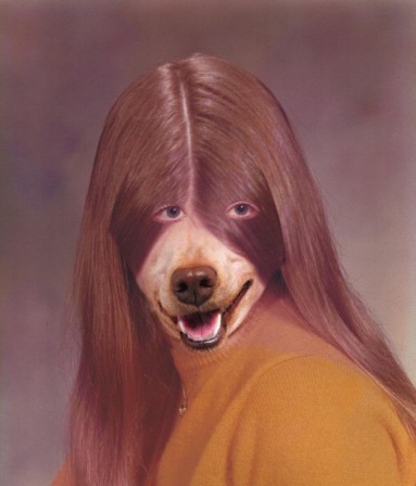 Phillip_Kremer_chien_cheveux_longs.jpg