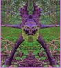 Pierino_Palotti_masque_vegetal.jpg