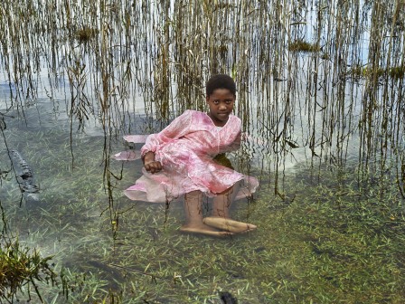 Pieter Hugo les roseaux d'Afrique du sud.jpg