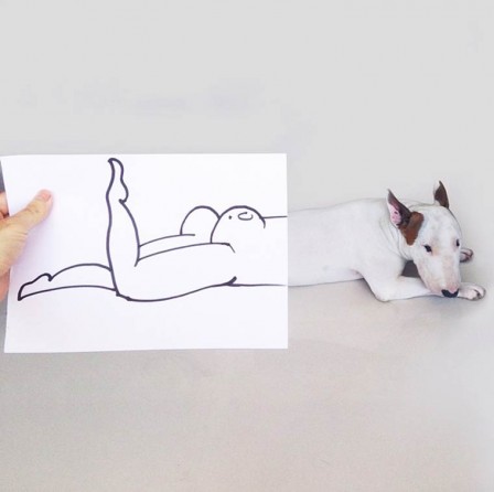 Rafael_Mantesso_chien_cul.jpg