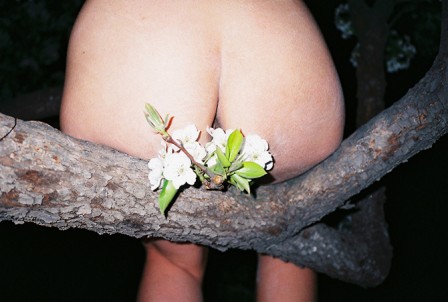 Ren_Hang_cul_en_fleur_erotisme.jpg