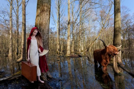 Rob_van_Bruggen_fabuleux_voyage_chaperon_rouge_buffle.jpg