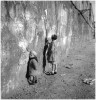 Robert_Doisneau_le_chant_des_murs.jpeg