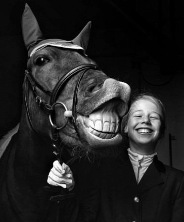 Robert Roozenbeek cheval selfie.jpg