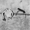 Roger Ballen l'enfance.jpg