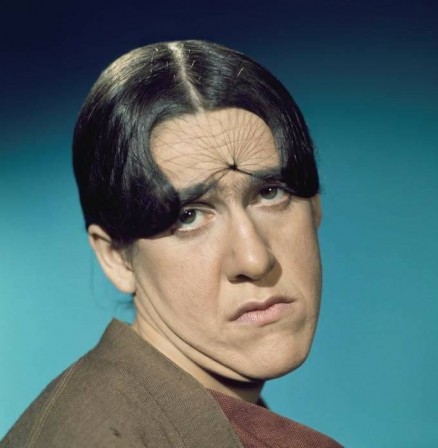 Ruth_Buzzi_le_filet_a_cheveux_association_des_victimes_de_l_araignee.jpg