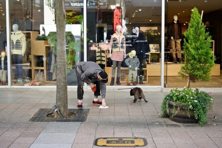 Ryosuke Takamura les crottes du chien.jpg