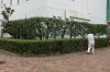 Ryosuke Takamura tennis.jpg