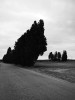 Salvi Danés du vent sur la route.jpg