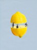 Sarah_Wickings_le_citron.jpg