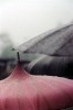 Saul_Leiter_sein_parapluie.jpg