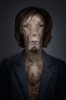 Sebastian_Magnani_chien_roux_bonjour.jpg