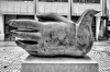 Serge_Bares_la_main_de_Malaga_colombe.jpg