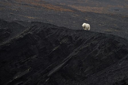 Sergey Gorshkov Au nord c'étaient les corons La terre c'était le charbon.jpg