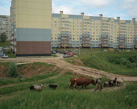 Sergey_Novikov_vache_cite.jpg