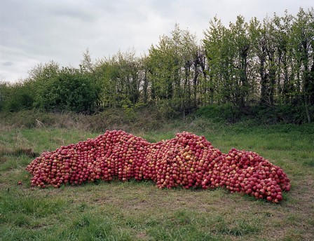 Shane_Lynam_les_chasseurs_de_pommes.jpg