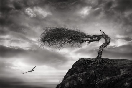 Sherry Akrami le souffle de l'oiseau.jpg