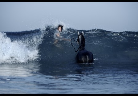 Shlomi Nissim la leçon d'équitation.jpg