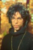 Steven Parke Prince automne.jpg