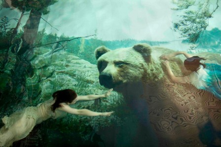 Susanna_Majuri_bonjour_ours_liquide.jpg