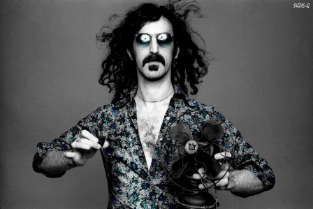 Suzieq_Illustratrice_Zappa.jpg
