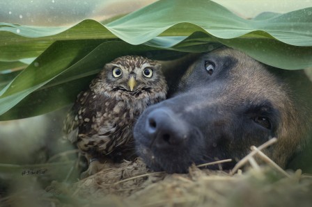 Tanja_Brandt_les_amours_clandestines.jpg