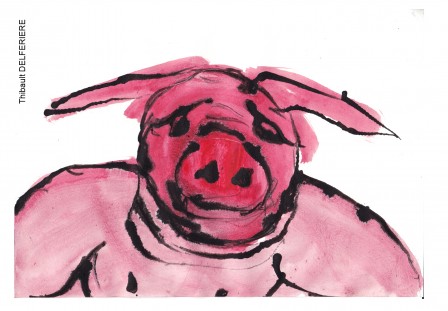 Thibault Delferiere carte postale cochon porc souvenir de 2018.jpg