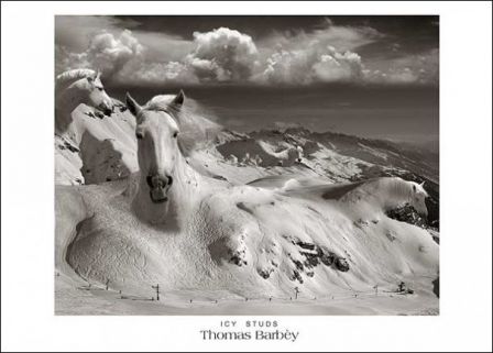 Thomas_Barbey_cheval_surgele_montagne.jpg