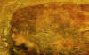 Thomas_Dodd_femme_d__or.png