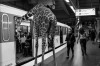 Thomas_Subtil_girafe_metro.jpg