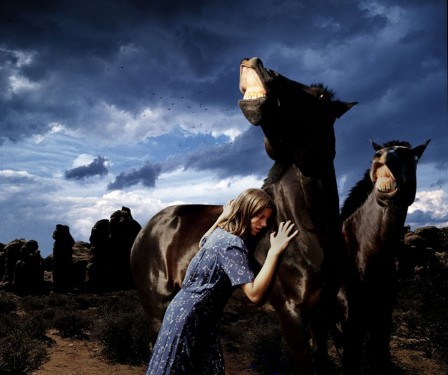 Tom Chambers la colère des chevaux.jpg