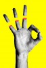 Tyler_Spangler_tout_va_bien.jpg