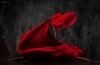 Vadim_Stein_la_danse_rouge.jpg