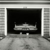 Vivian Maier les chats de Chicago 1957.jpg