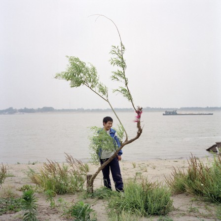 Wang_Yuanling_l_arbre_qui_fait_rire.jpg