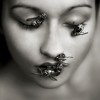 Werner_BRANZ_abeilles_insectes_yeux_bouche_couverture.jpg
