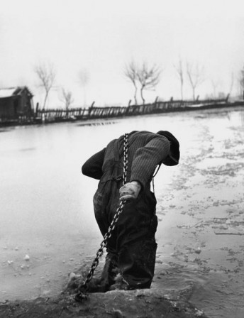 Werner_Bischof_Homme_tirant_un_bateau_Hongrie_1948_au_travail.jpg