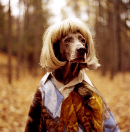 William_Wegman_Francoise_Sagan.jpg