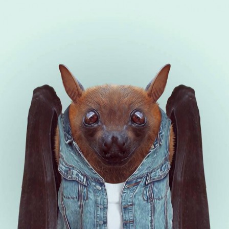 Yago_Partal_chauve-souris.jpg