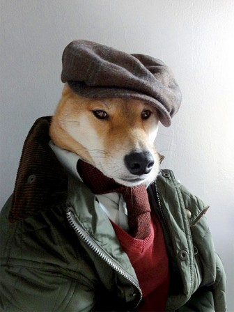 Yago_Partal_chien_casquette.jpg