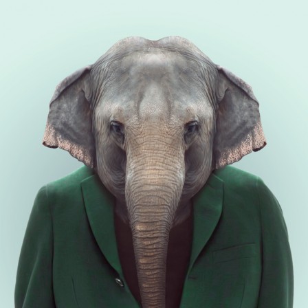 Yago_Partal_elephant.jpg