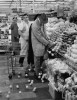 Yale_Joel_Jacques_Tati_dropping_lemons_on_the_floor.jpg