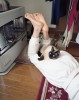 Yamashita Takahiro un peu de chaleur.jpg
