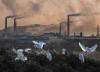 Yau_Ming_Charles_Ho_oiseaux_usine.jpg
