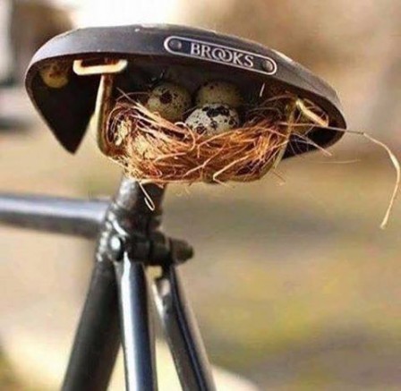 Yehuda Edri oeufs vélo.jpg